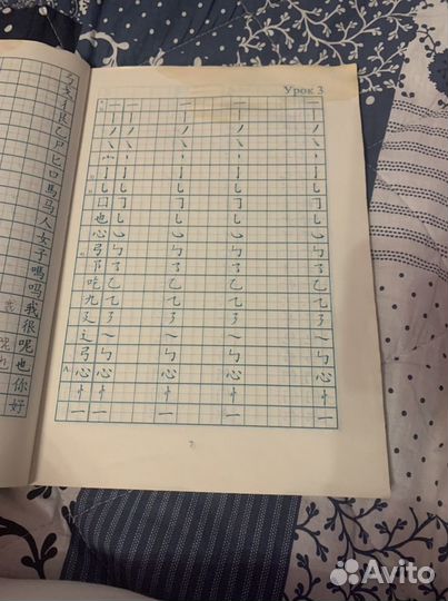 Практический курс китайского языка с прописями