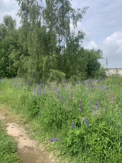 Участок 18,3 сот. (ИЖС)