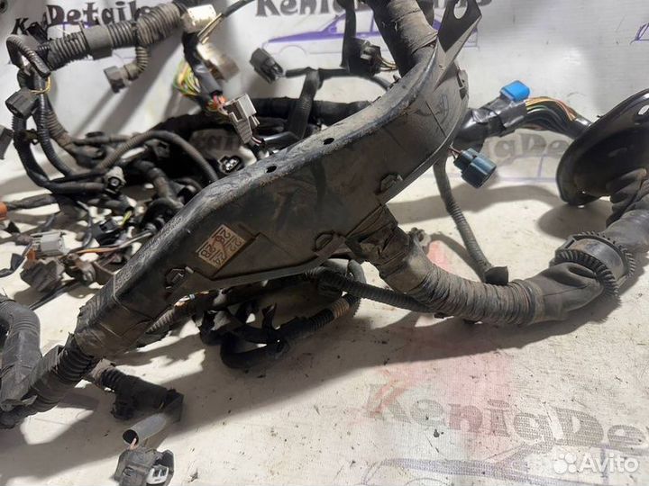 Моторная коса, проводка двигателя Lexus Rx 300