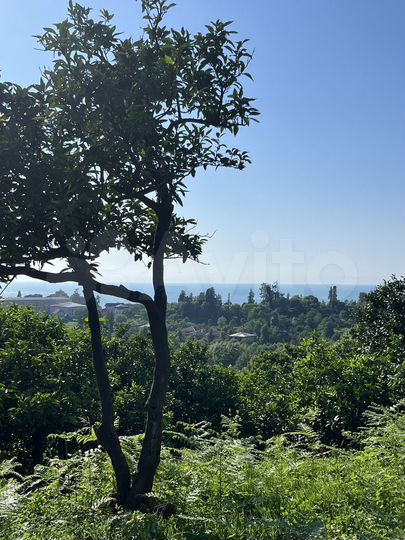 Участок 26 сот. (ИЖС)