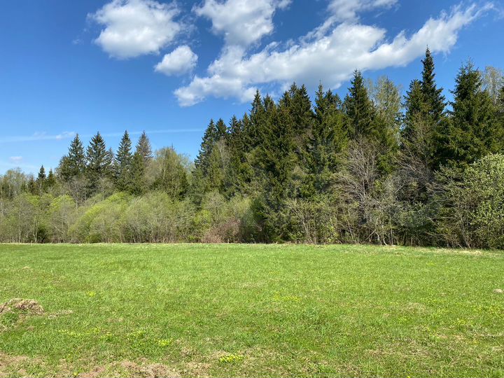 Участок 100 сот. (ИЖС)