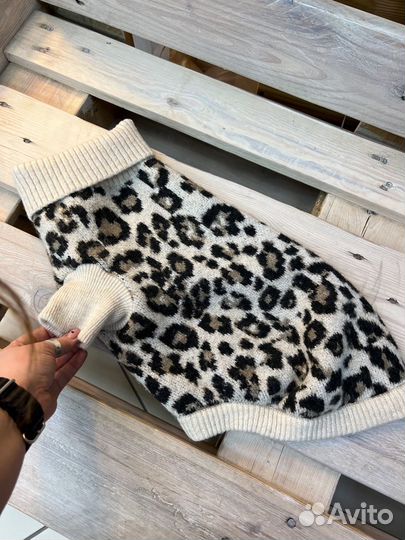 Одежда для собаки h&m