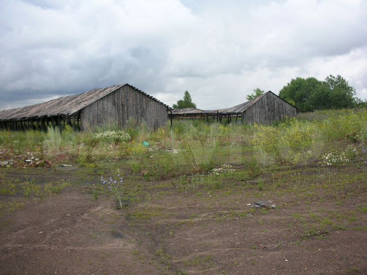 Участок 40 га (промназначения)