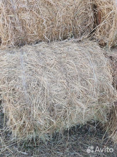 Сено в тюках