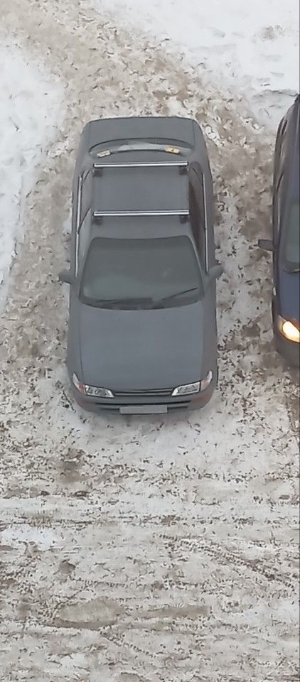 Toyota Corolla: фото владельца