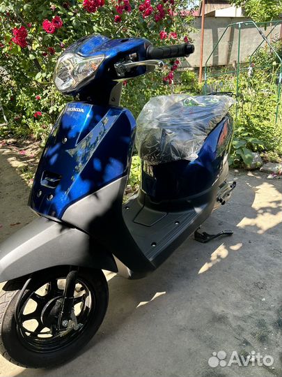 Honda tact af 79