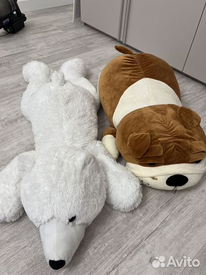 Медведь и собака