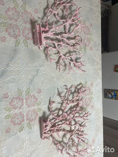 Кораллы