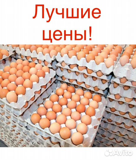 Доставка, яйцо куриное