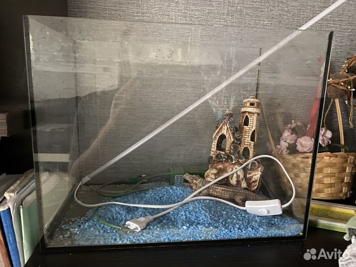 Аквариум