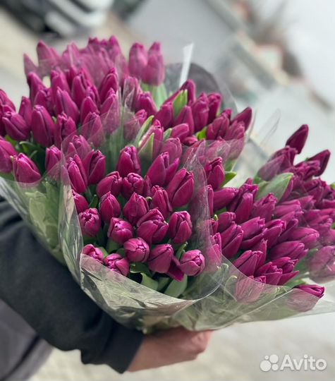 Тюльпаны цветы букеты Краснодар доставка 8 марта