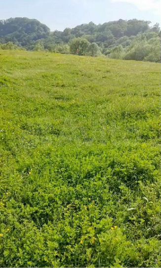 Участок 23,4 сот. (ИЖС)