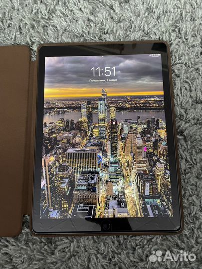 iPad pro 12.9 256