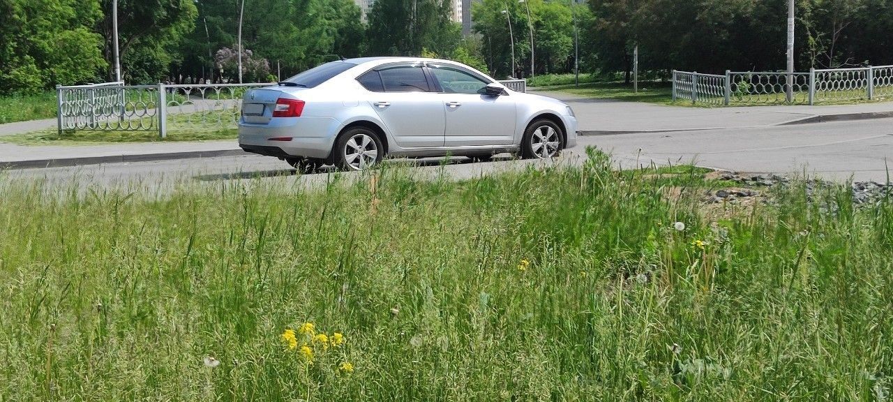 Skoda Octavia: фото владельца
