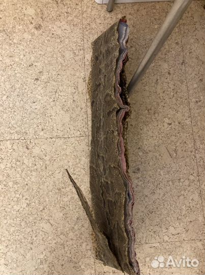 Шкура питона