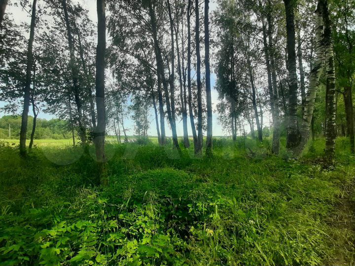 Участок 4 га (СНТ, ДНП)