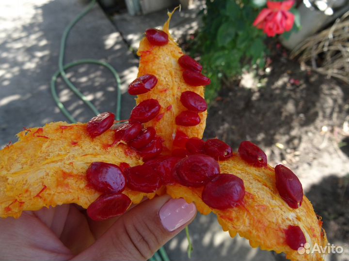 Семена Момордики