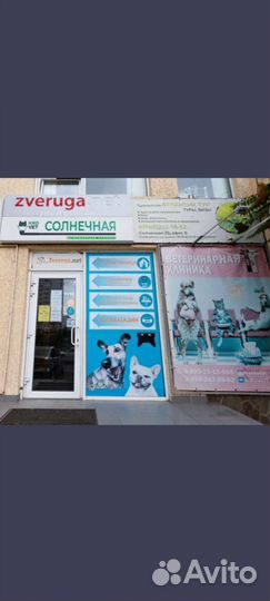 Ветеринарный врач/Ассистент