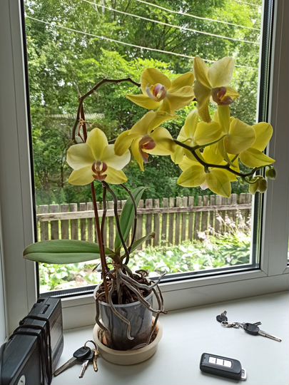 Дом 120 м² на участке 15 сот.