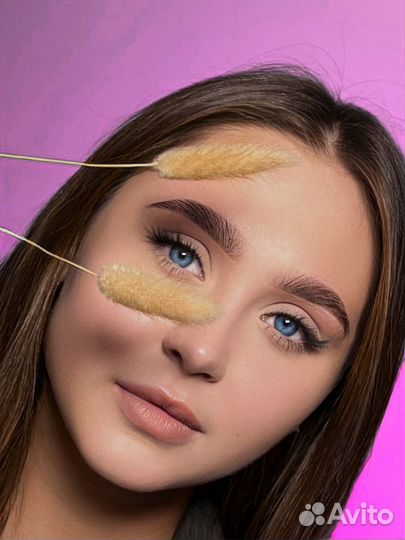 Мастер бровист