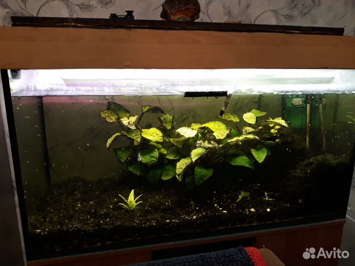 Аквариум 400 литров