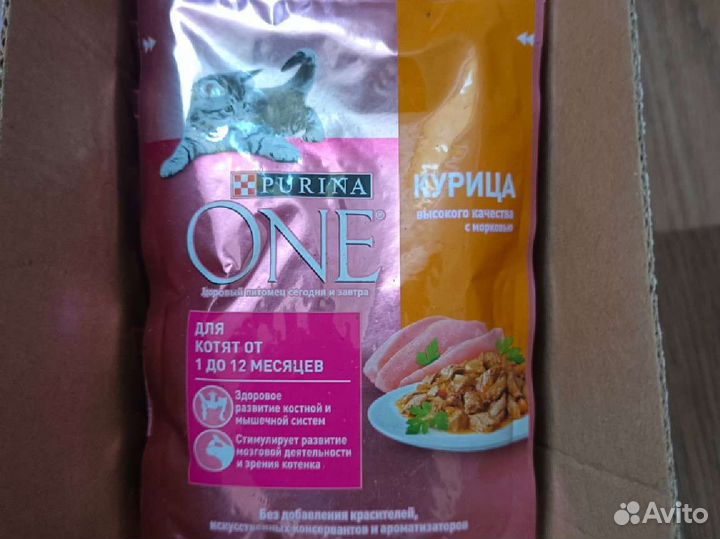 Влажный корм для котят