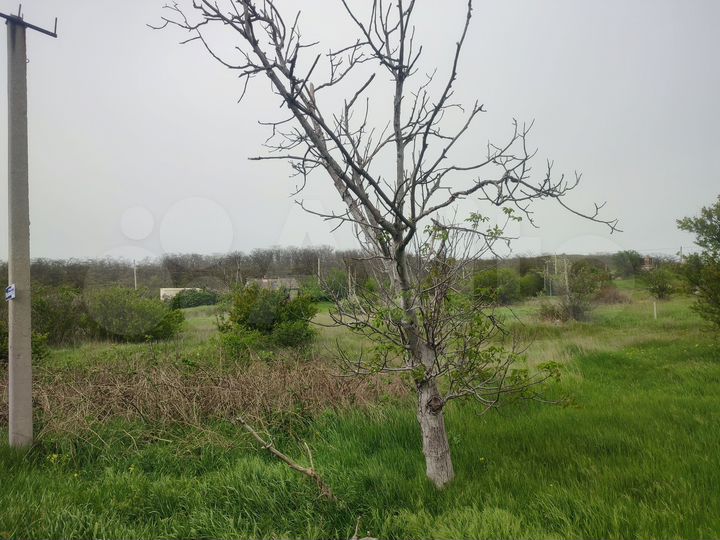 Участок 5,1 сот. (ИЖС)