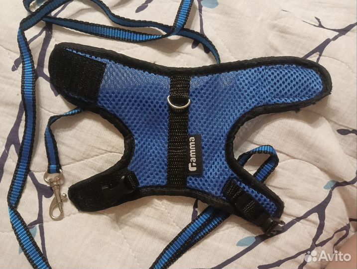 Шлейка, корм, наполнитель в клетку для крыс