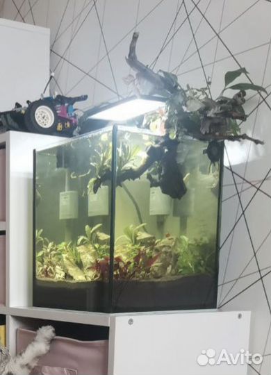 Аквариум