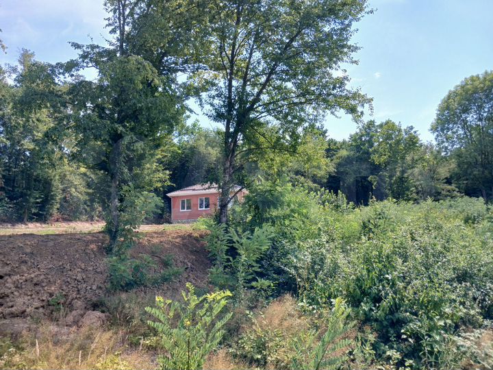 Дом 68 м² на участке 10 сот.