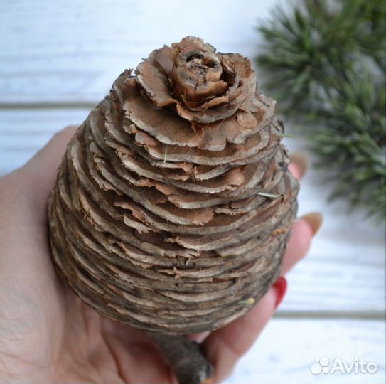 Шишки для поделок