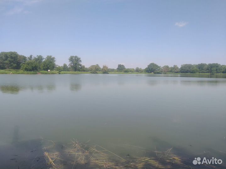 Платная рыбалка