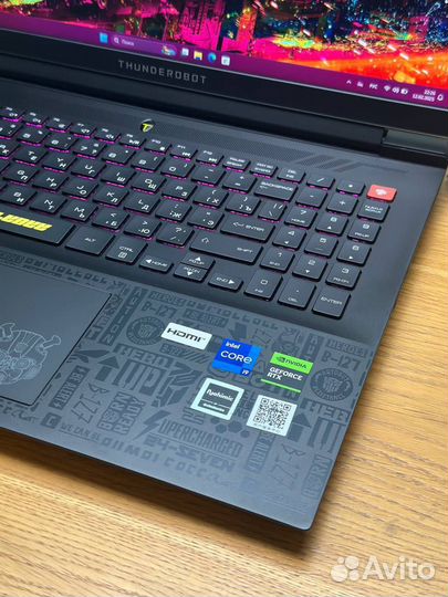 Thunderobot / RTX 4080 / i9-14 / 16.1