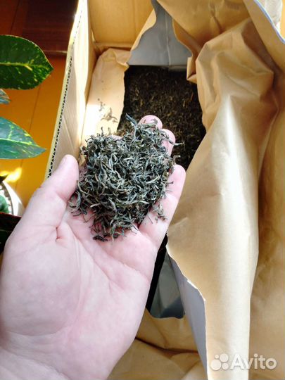 Китайский зеленый чай