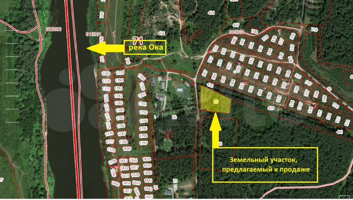База отдыха 1 га в сосновом бору в Бунырево