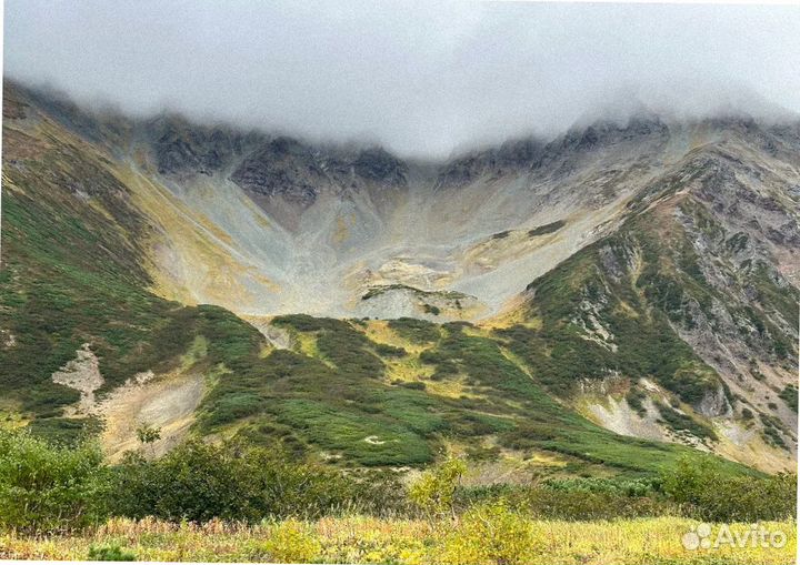 Тур на Камчатку летом программы до 9-ти дн