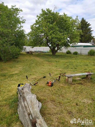 Сад благоустройство