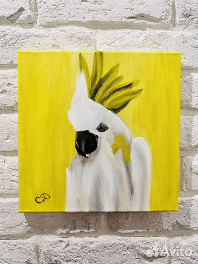 Картина Белый Попугай 30х30, масло, холст