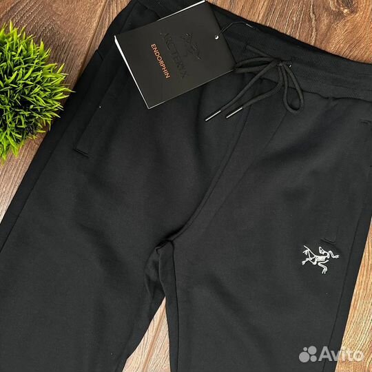 Штаны arcteryx