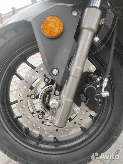 Макси. Новый