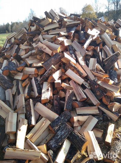 Березовые дрова