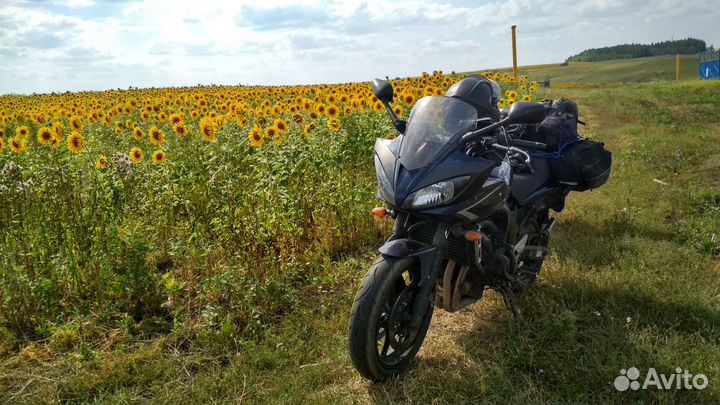 Yamaha fz6 s2 2008
