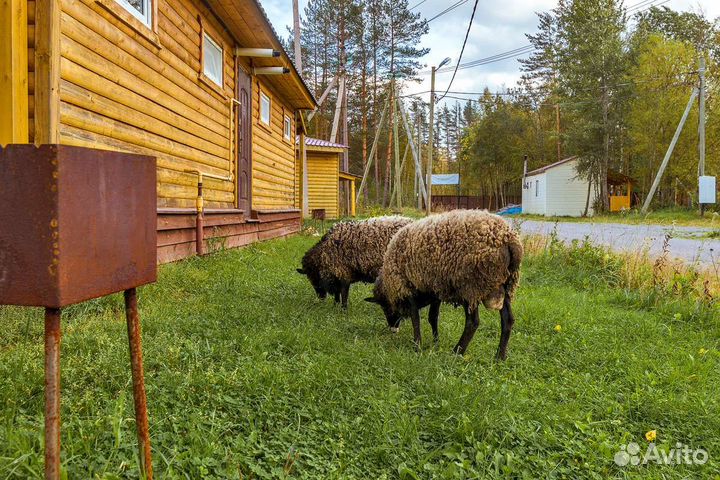Загородный комплекс