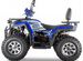 Квадроцикл бензиновый Wels Trail 200 Pro синий