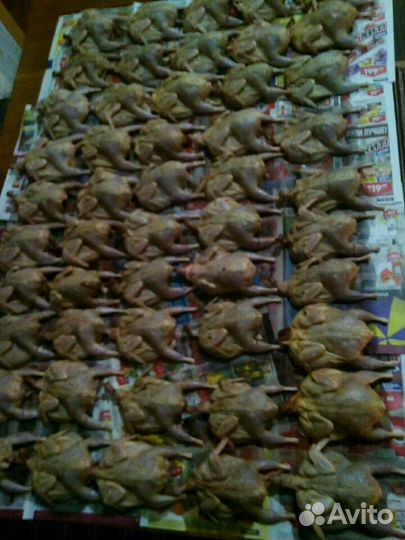 Мясо перепелиное