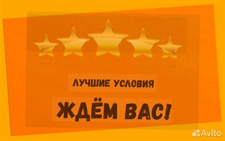 Маркировщик Еженедельный аванс М/Ж Спецодежда