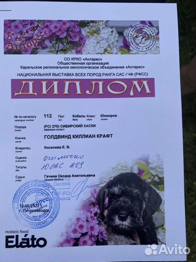Кабель хаски