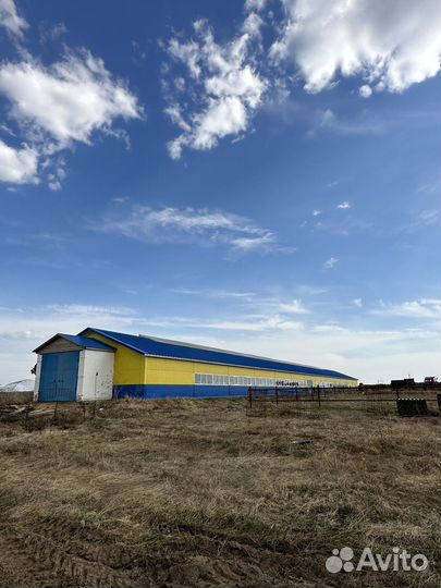 Ферма Коровник