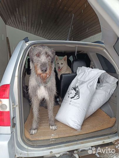 Променад Корм сухой для собак