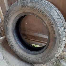 Nexen Winguard 231 175/70 R13 82T